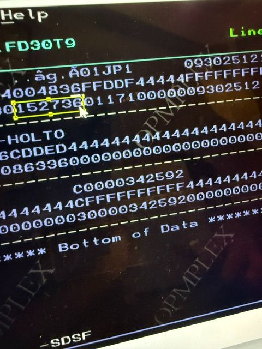 A green-on-black mainframe terminal screen filled with encoded record data
